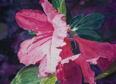 Print of Realism Floral Paintings by Christopher Reid