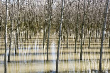 Print of Documentary Landscape Photography by Maurizio Franzosi