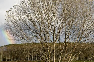 Print of Documentary Landscape Photography by Maurizio Franzosi