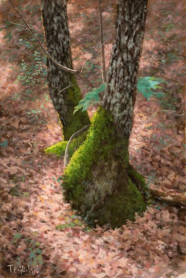 Print of Realism Tree Paintings by Dejan Trajkovic