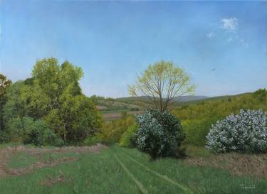 The Meadow in Spring thumb