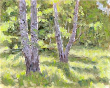 Birches - plein air thumb