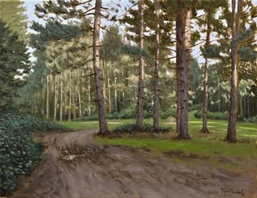 Original Realism Landscape Paintings by Dejan Trajkovic