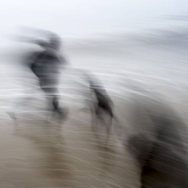 Print of Conceptual Beach Photography by Chris terryn