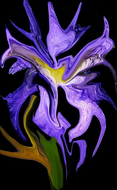 impression of an iris at night thumb