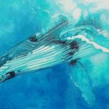 Depth by Karen Bloomfield