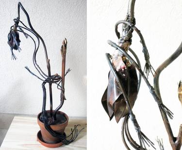 Curvation medium-Sculpture -Limited Edition bronze and resin sculpture