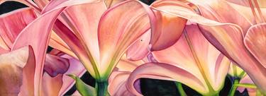 Original Abstract Floral Paintings by Sandy Haight