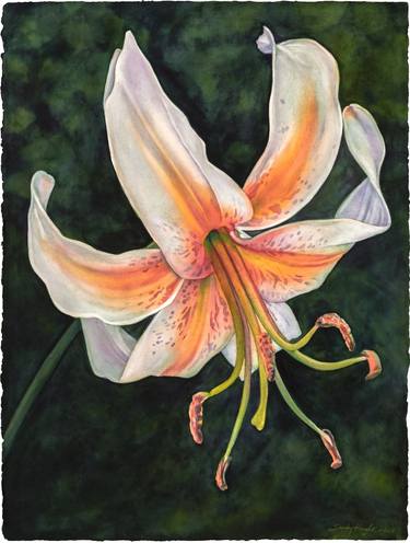 Original Contemporary Floral Painting by Sandy Haight