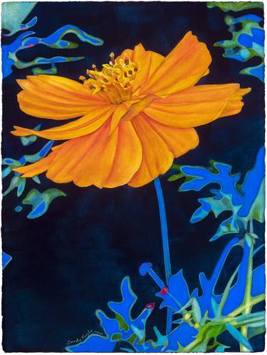 Original Floral Paintings by Sandy Haight