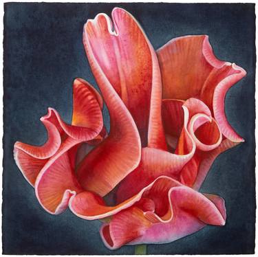 Original Contemporary Floral Painting by Sandy Haight