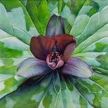 Season of Hope by Sandy Haight