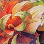 Swoop by Sandy Haight