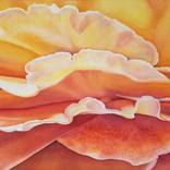Sunrise by Sandy Haight