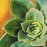 Tierra Corazon by Sandy Haight