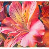 Flamboyance by Sandy Haight