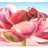 Open Hearted by Sandy Haight