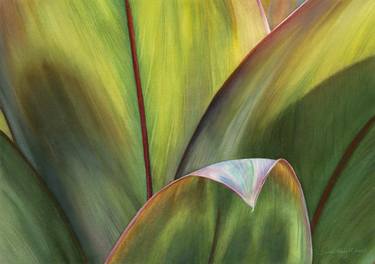 Original Photorealism Botanic Paintings by Sandy Haight