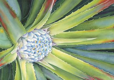 Print of Botanic Paintings by Sandy Haight