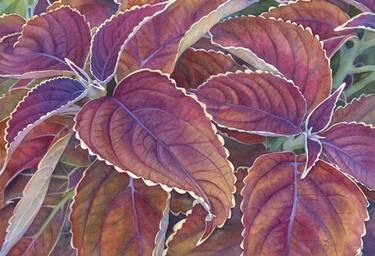 Original Realism Botanic Paintings by Sandy Haight