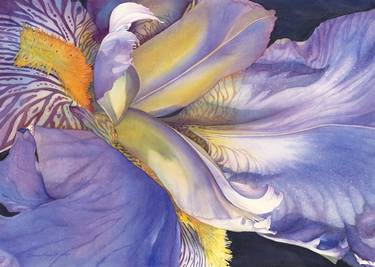 Print of Botanic Paintings by Sandy Haight