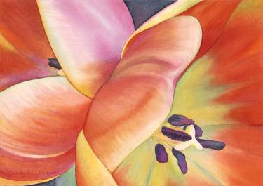 Print of Botanic Paintings by Sandy Haight