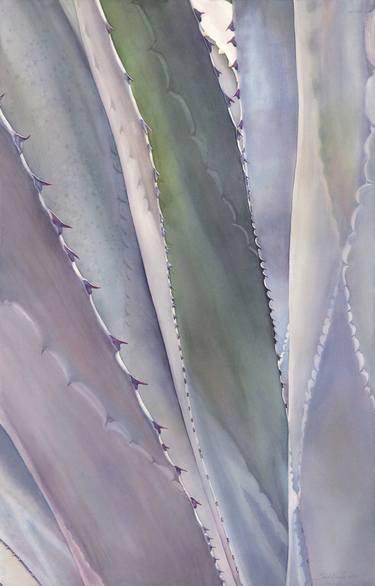 Sedona Agave #1 thumb