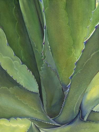 Print of Fine Art Botanic Paintings by Sandy Haight