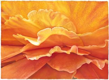 Print of Abstract Floral Paintings by Sandy Haight