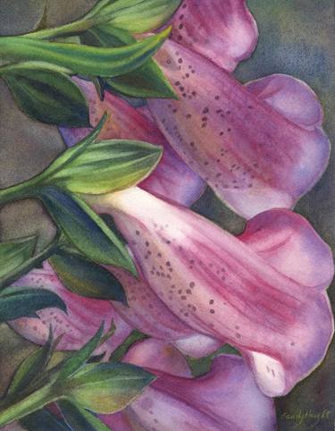 Original Fine Art Floral Paintings by Sandy Haight