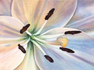 Original Fine Art Floral Paintings by Sandy Haight