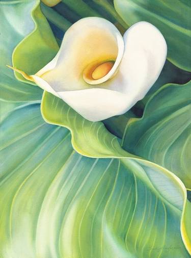 Original Floral Paintings by Sandy Haight