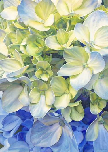 Original Fine Art Floral Paintings by Sandy Haight