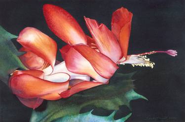 Original Fine Art Floral Paintings by Sandy Haight