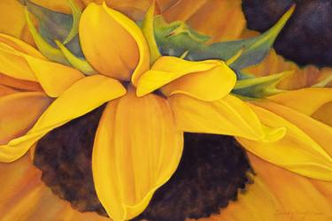 Original Floral Paintings by Sandy Haight