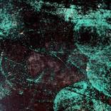 Fluorescence by sarah huxley-parlour