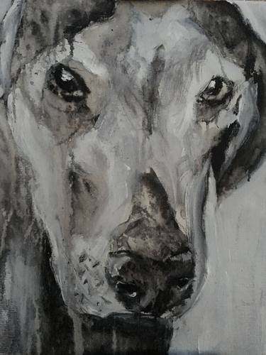 Print of Dogs Paintings by Francisco Javier Infantes