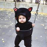 Kitty Cat by Angela Cappetta