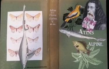 Original Botanic Collage by Cleonice Martin