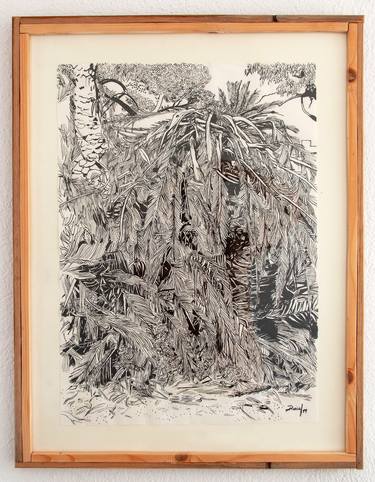 Print of Botanic Drawings by Daniel Formigo