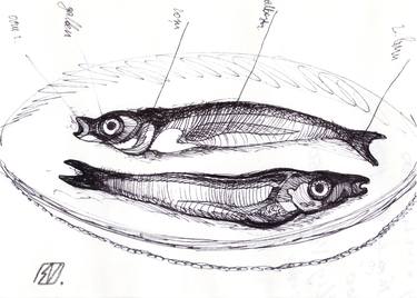 Original Fish Drawings by Serge Vasilendiuc