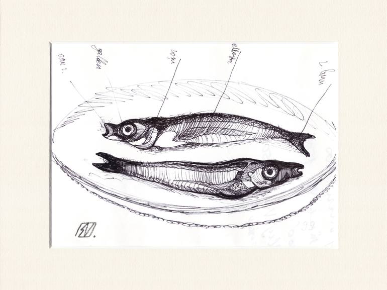 Original Fish Drawing by Serge Vasilendiuc