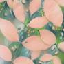 detail 2