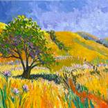 Livermore Valley Thistle by Juliana DeFrance
