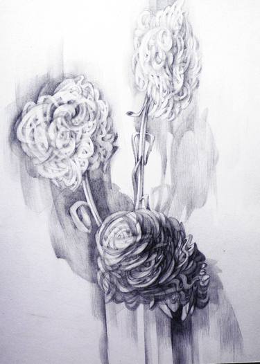 Floral Drawing with Charcoal and Graphite Sticks Drawing by Mobeen Jaffri