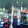 Actual Window Murals at Belleville MetroLink Station in Illinis