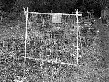 Original Documentary Garden Photography by Daniel Dunt