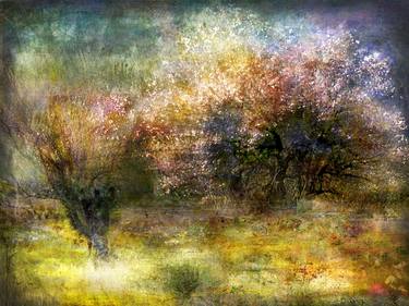 Print of Expressionism Tree Photography by Alfredo Gonzalez