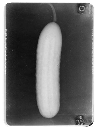 Cucumber (from "Iconography of Radioactivity" series) - Limited Edition 1 of 1 thumb