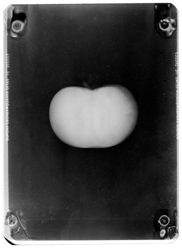 Tomato (from "Iconography of Radioactivity" series) - Limited Edition 1 of 1 thumb
